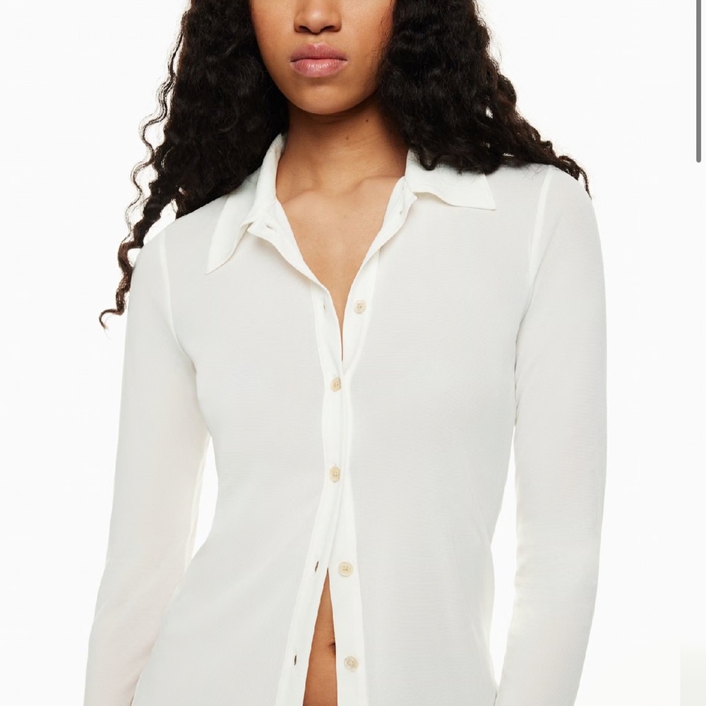 Aritzia Mesh button-up longsleeve XXS
